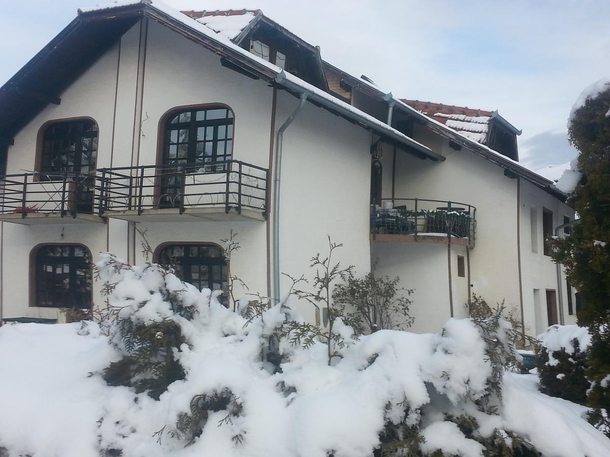 Vila Stojkovic Zlatibor Exterior photo